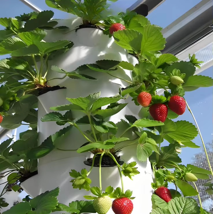 Sistema modular de cultivo hid - Urban Farming Gardening reseña y precio